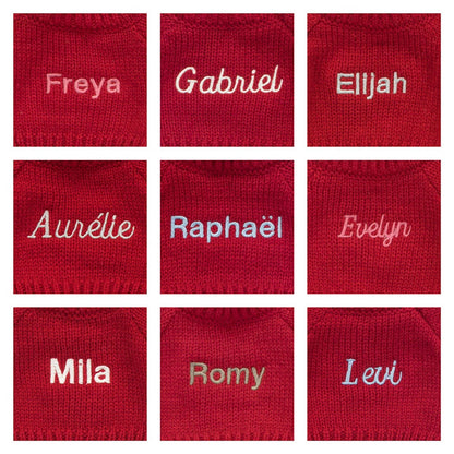 Bashful Lion With Personalized Red Jumper - US 9581